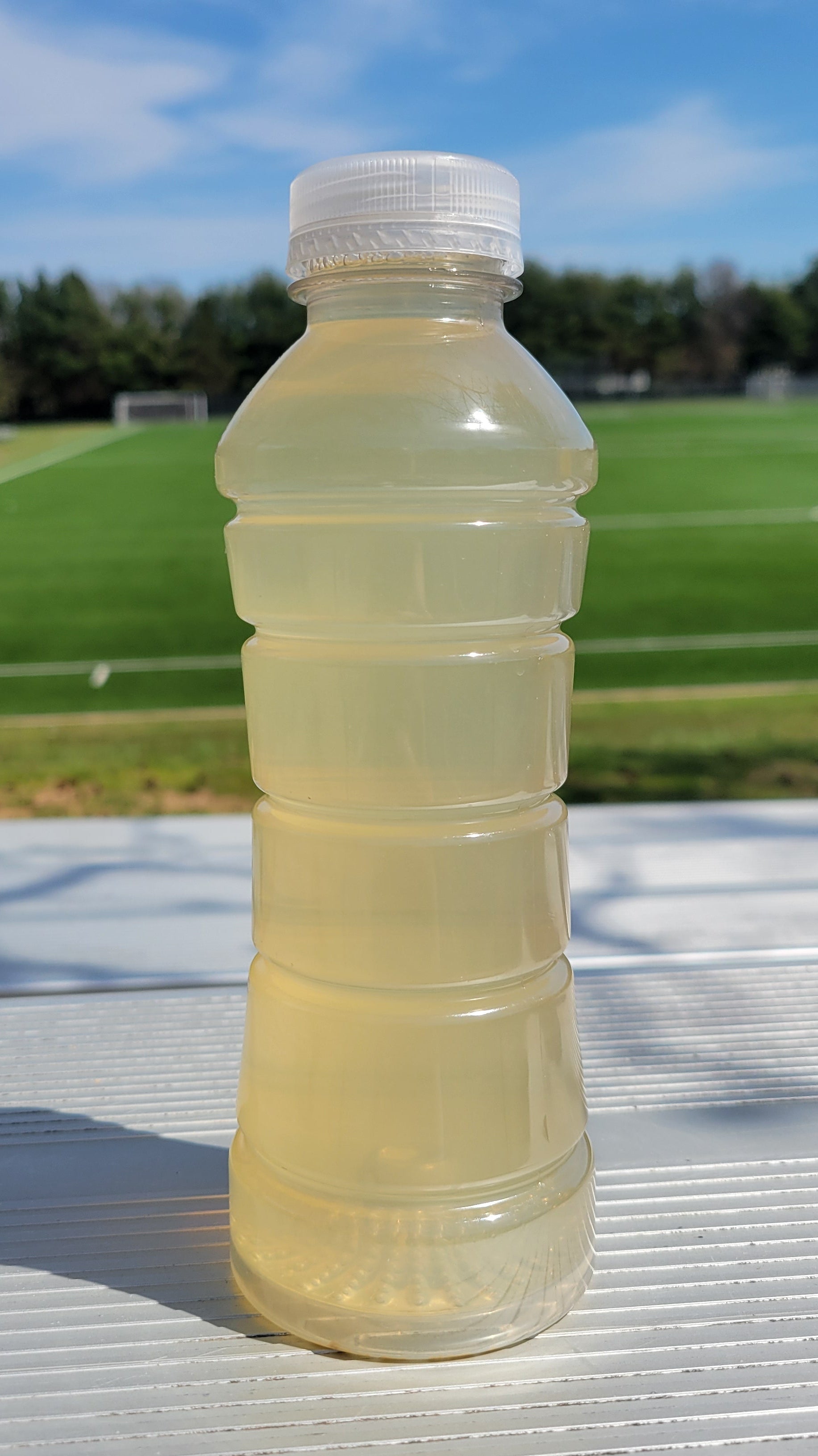 Wynz Mango Orange Mister Youth Hydration Sports Drink - (16oz)