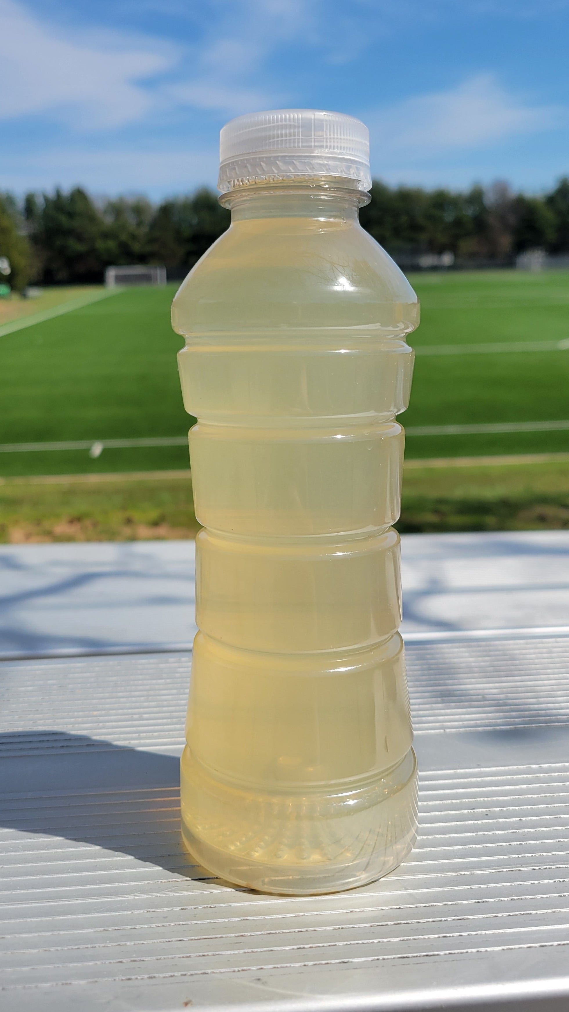 Wynz Lemon Cherry Quencher - Youth Hydration Sports Drink (16oz)