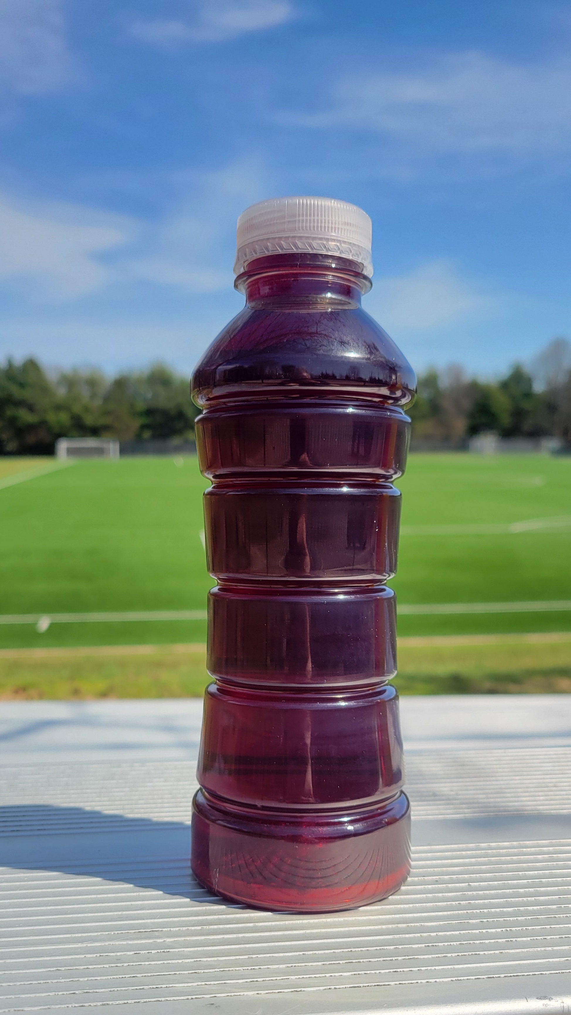 Wynz Sour Berry Soaker Youth Hydration Sports Drink - (16oz)